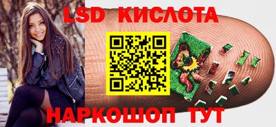 гашик Новодвинск