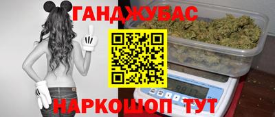 гашик Новодвинск
